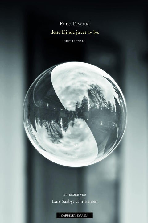 Dette blinde juvet av lys - dikt i utvalg