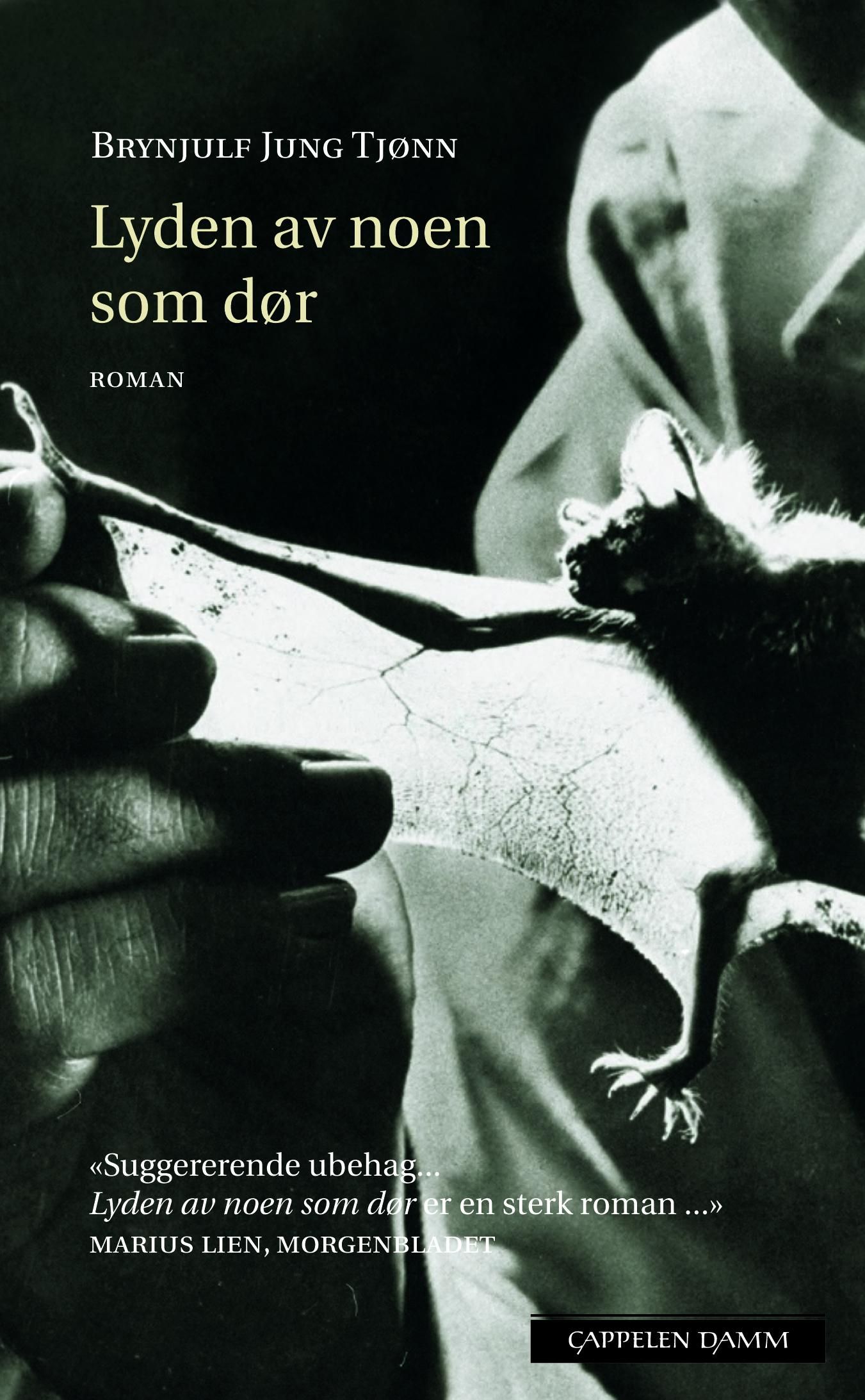 Lyden av noen som dør - roman