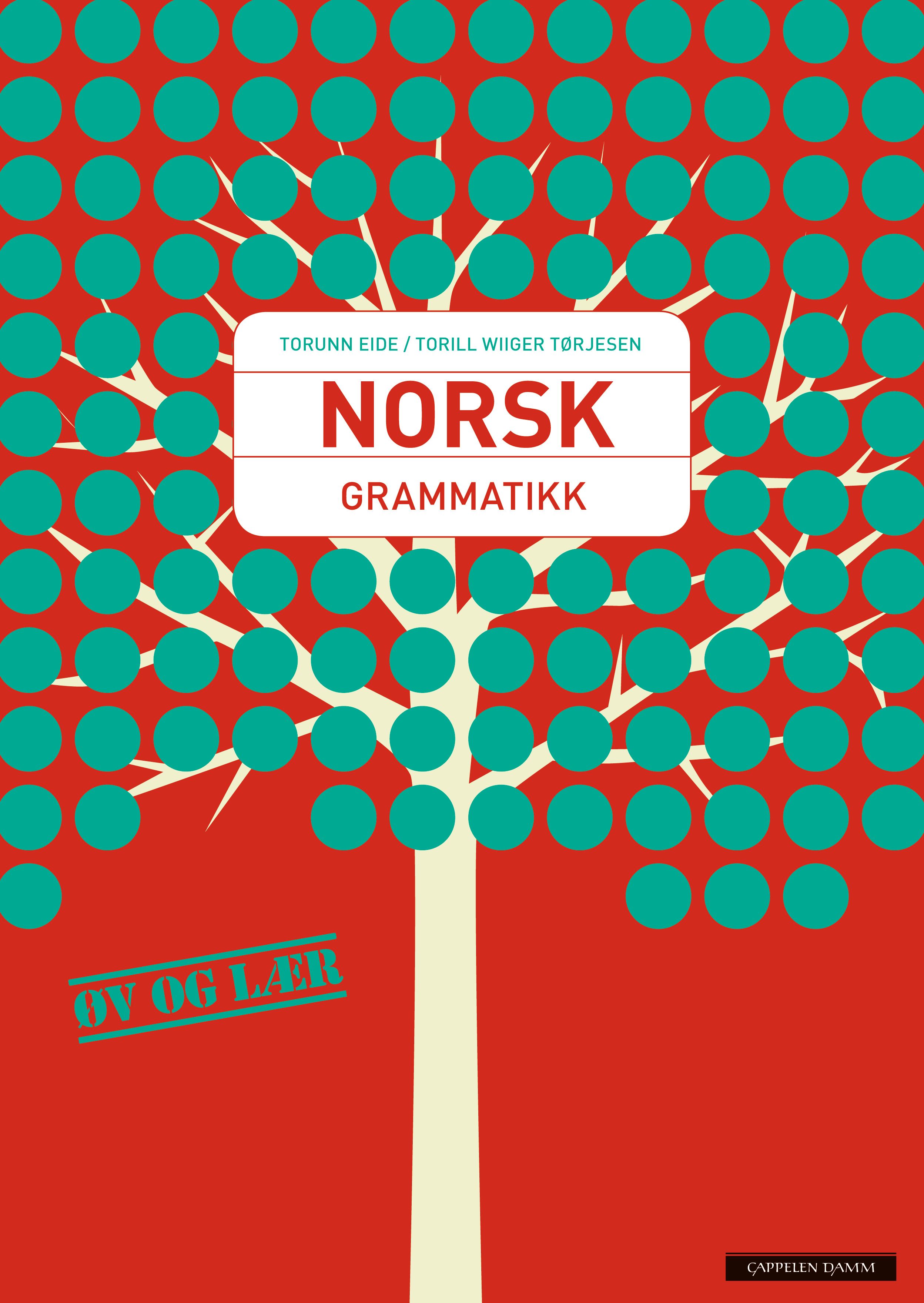 Norsk grammatikk