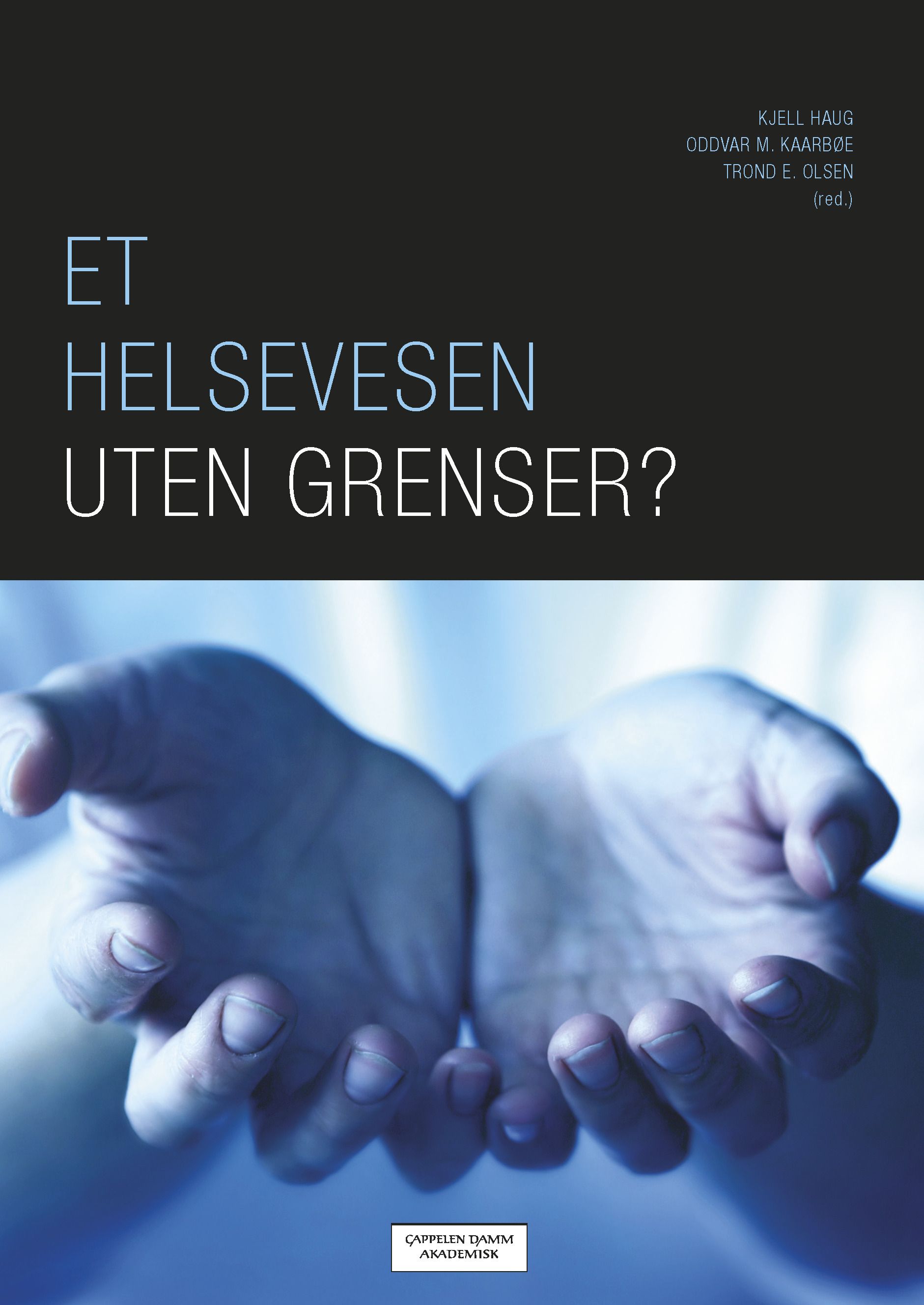 Et helsevesen uten grenser?