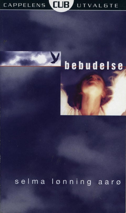 Bebudelse - roman
