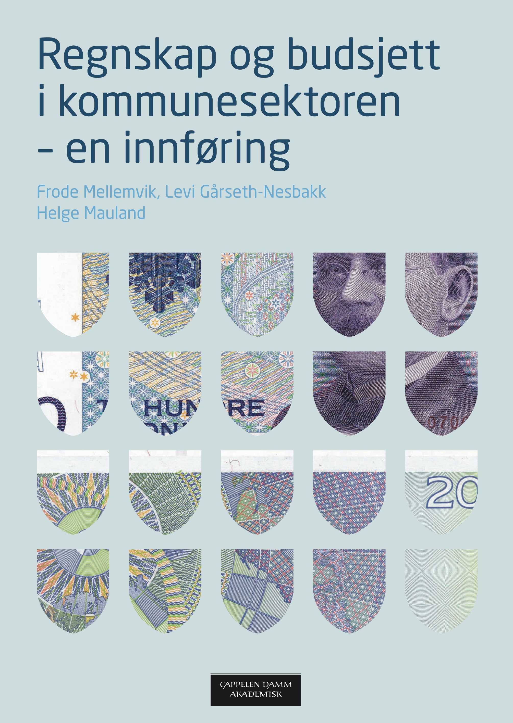 Regnskap og budsjett i kommunesektoren - en innføring