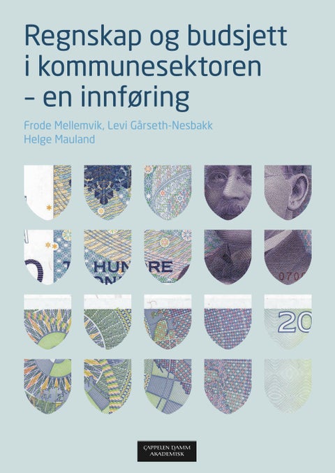 Regnskap og budsjett i kommunesektoren - en innføring