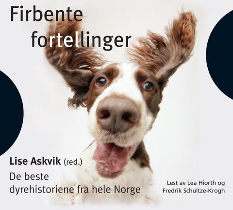 Firbente fortellinger - De beste dyrehistoriene fra hele Norge