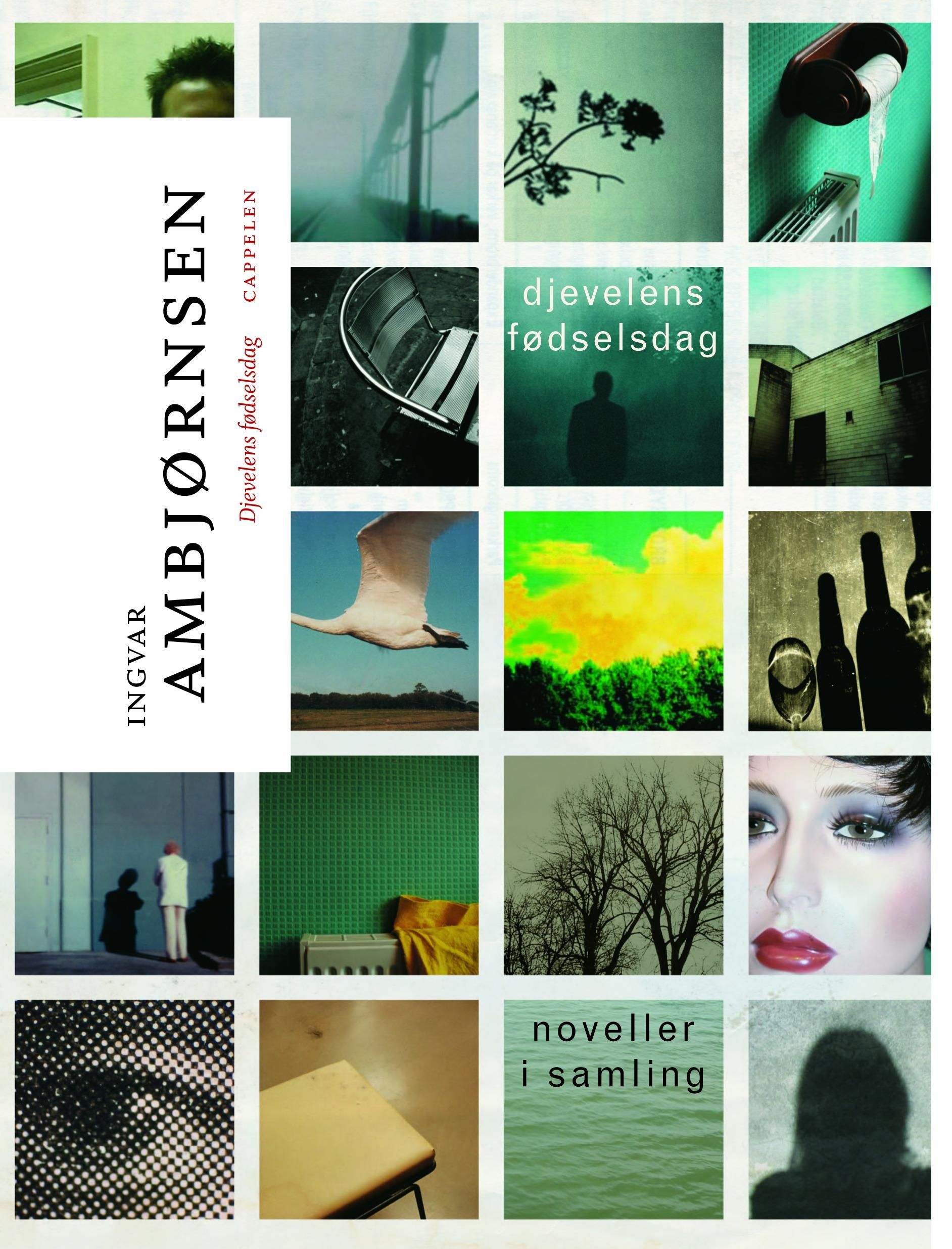 Djevelens fødselsdag - noveller i samling