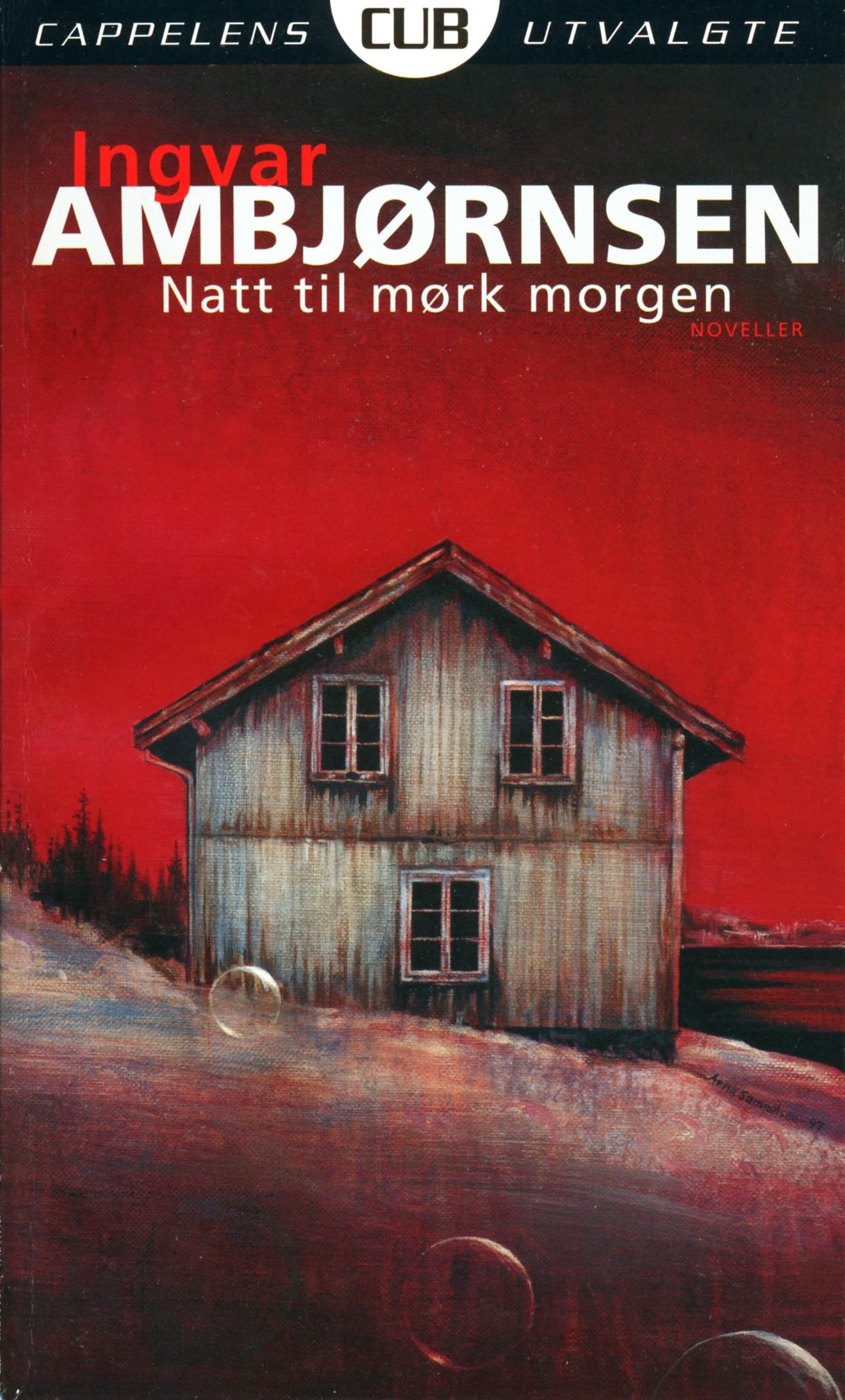 Natt til mørk morgen