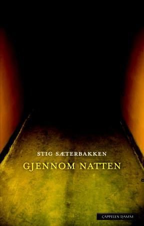 Gjennom natten - roman