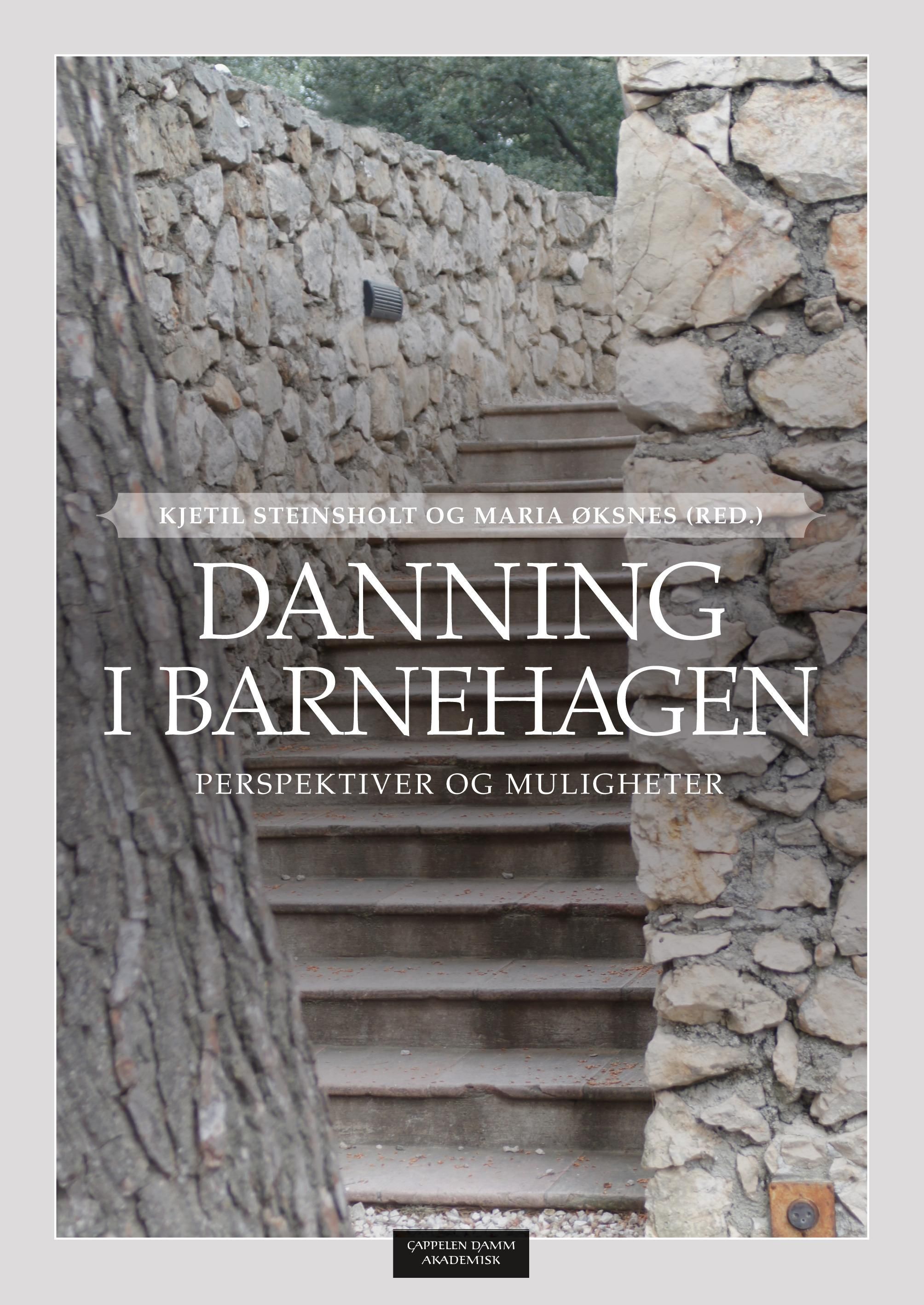 Danning i barnehagen - perspektiver og muligheter