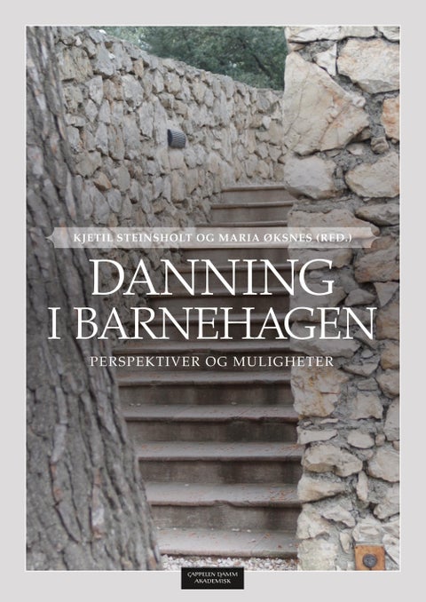 Danning i barnehagen - perspektiver og muligheter