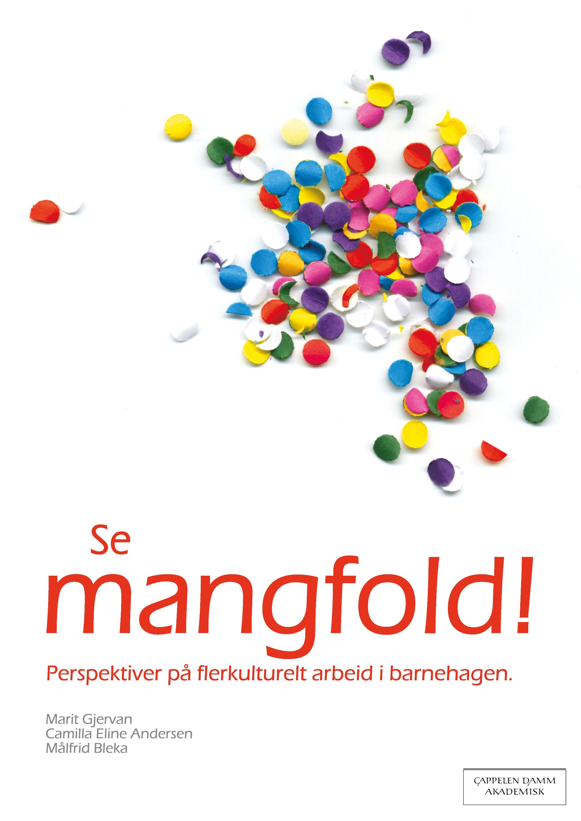 Se mangfold! - perspektiver på flerkulturelt arbeid i barnehagen