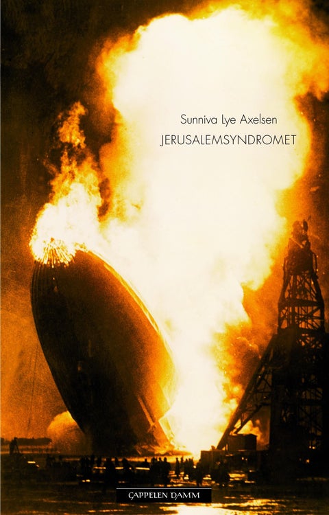 Jerusalemsyndromet - roman