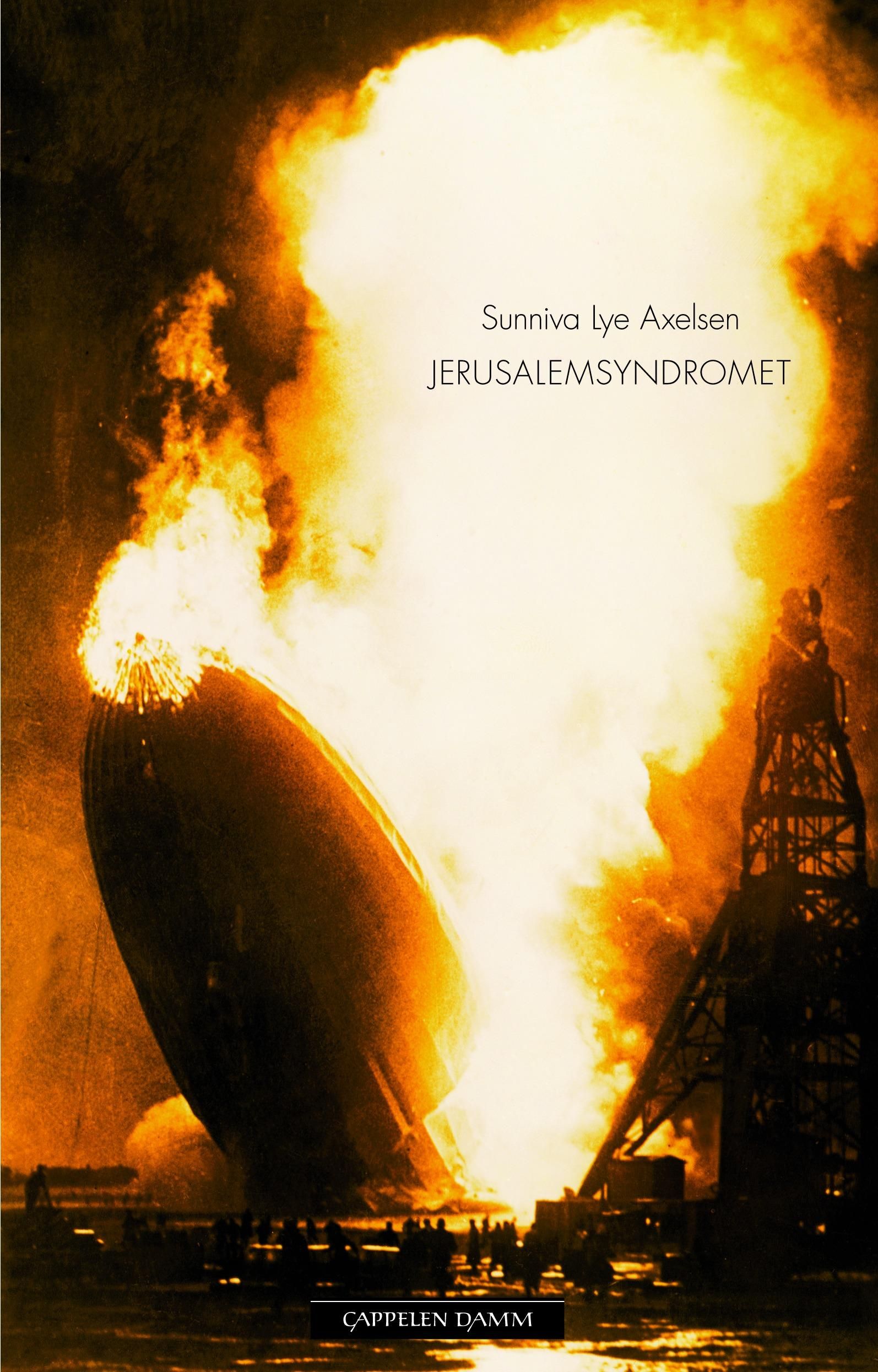 Jerusalemsyndromet - roman
