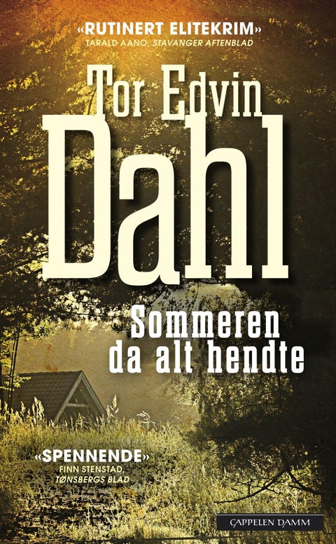 Sommeren da alt hendte - kriminalroman