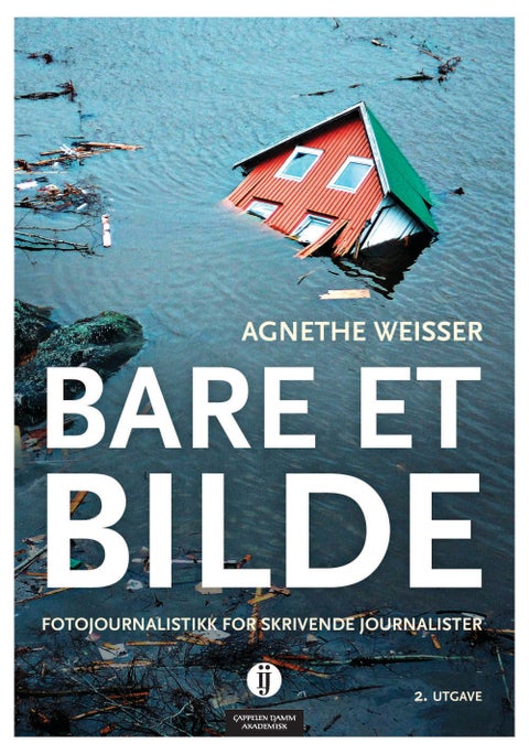Bare et bilde - fotojournalistikk for skrivende journalister