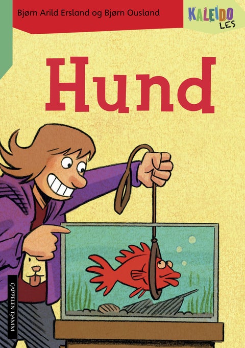 Kaleido les - nivå 4 : hund