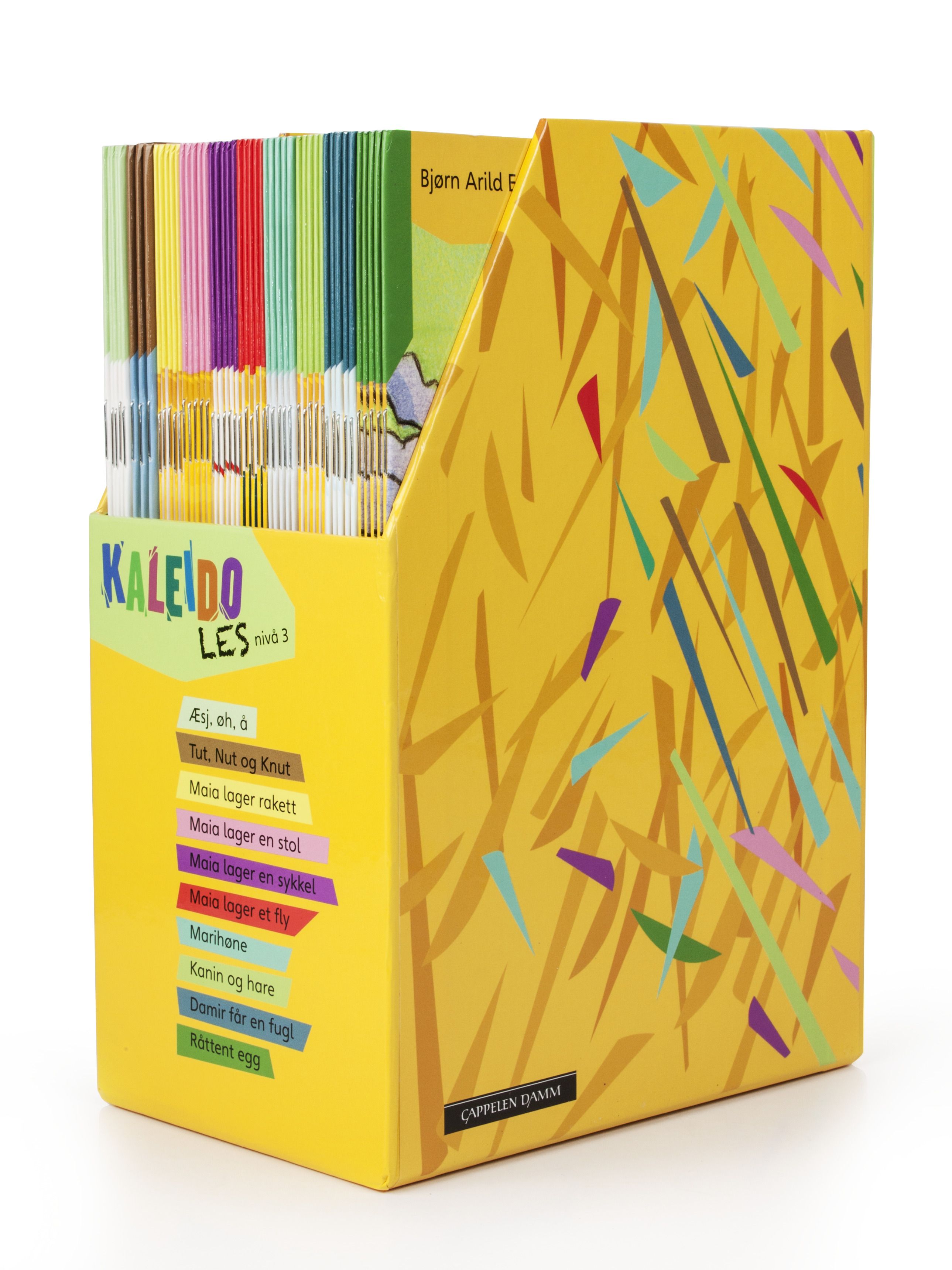 Kaleido les - nivå 3