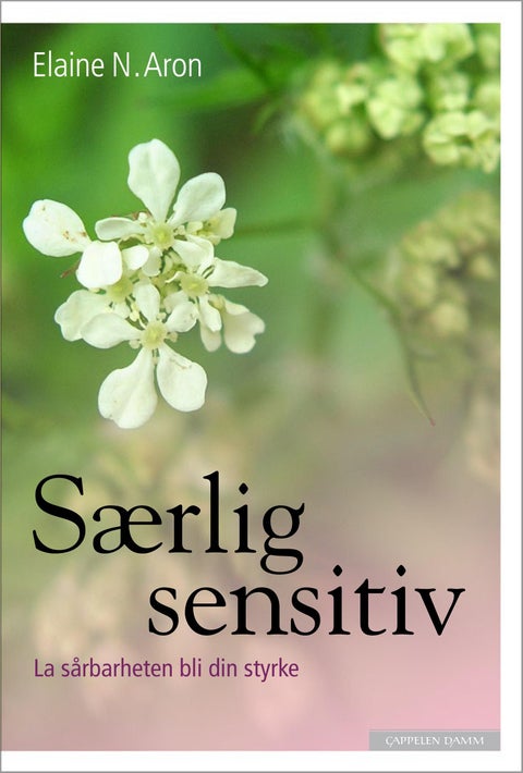 Særlig sensitiv - la sårbarheten bli din styrke