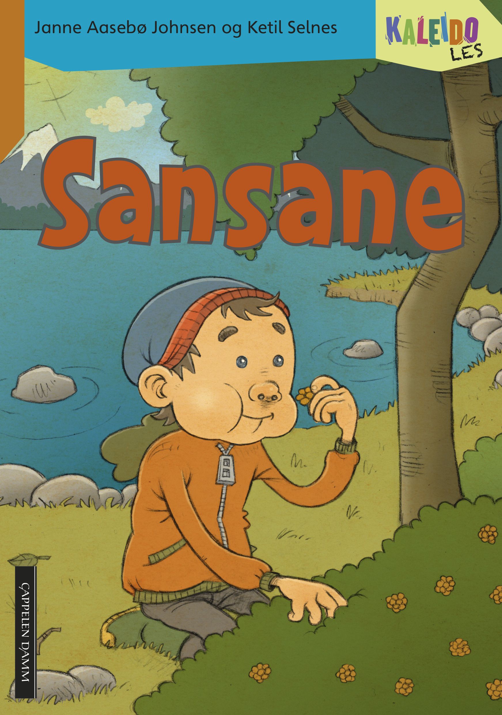 Kaleido les - nivå 2 : sansane