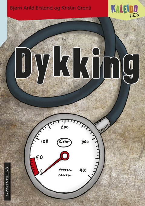 Kaleido les - nivå 4 : dykking