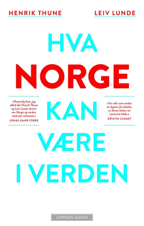 Hva Norge kan være i verden