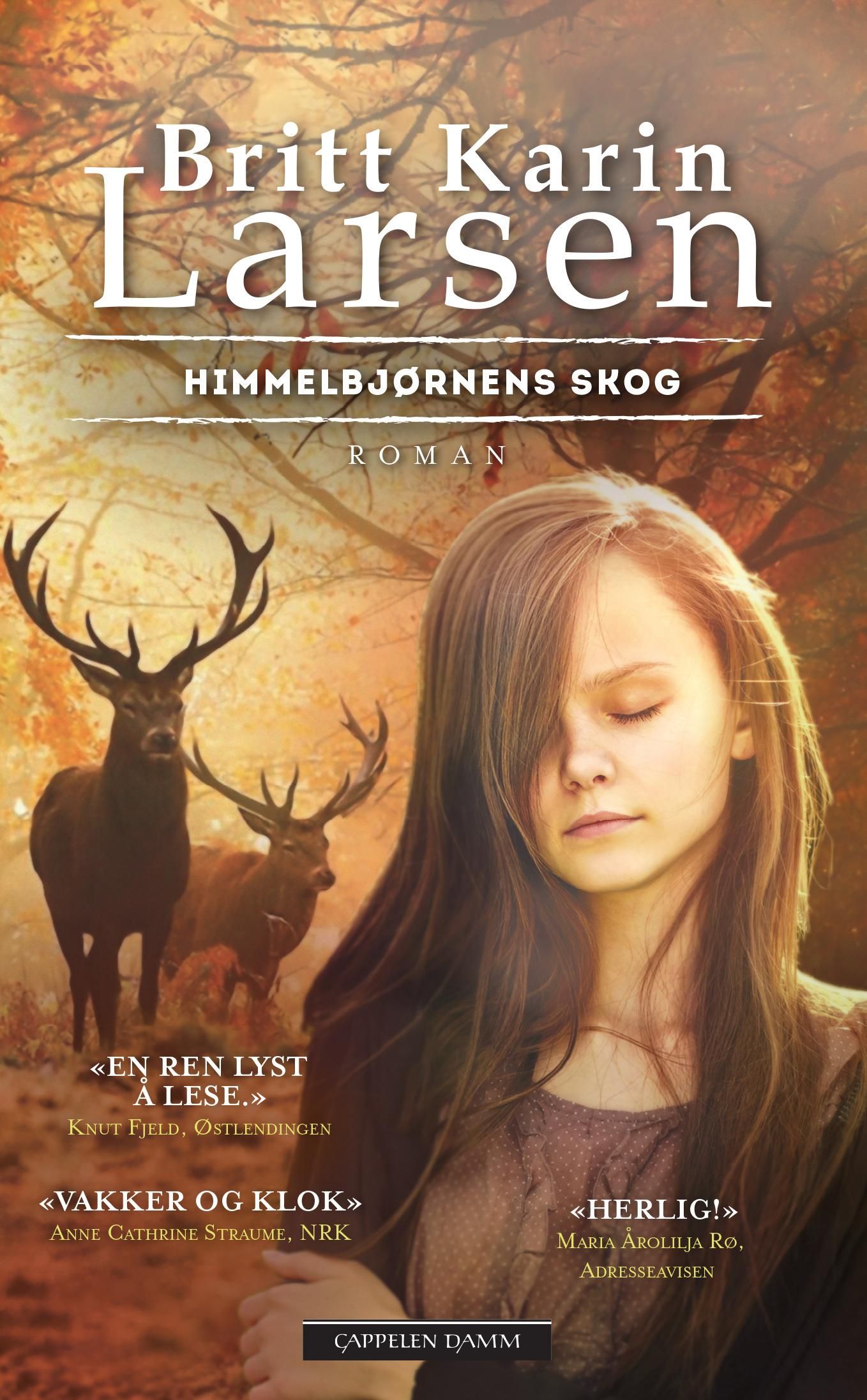 Himmelbjørnens skog - roman