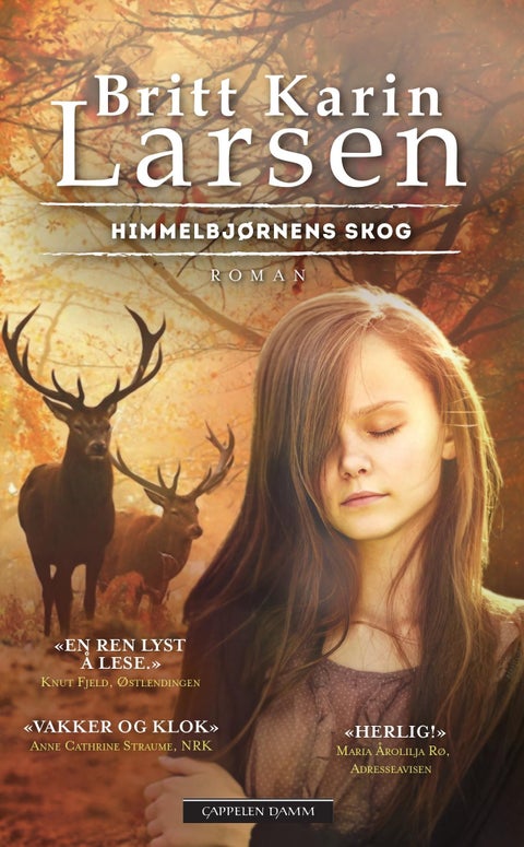 Himmelbjørnens skog - roman