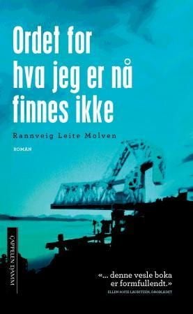 Ordet for hva jeg er nå finnes ikke - roman
