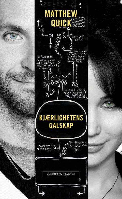 Kjærlighetens galskap