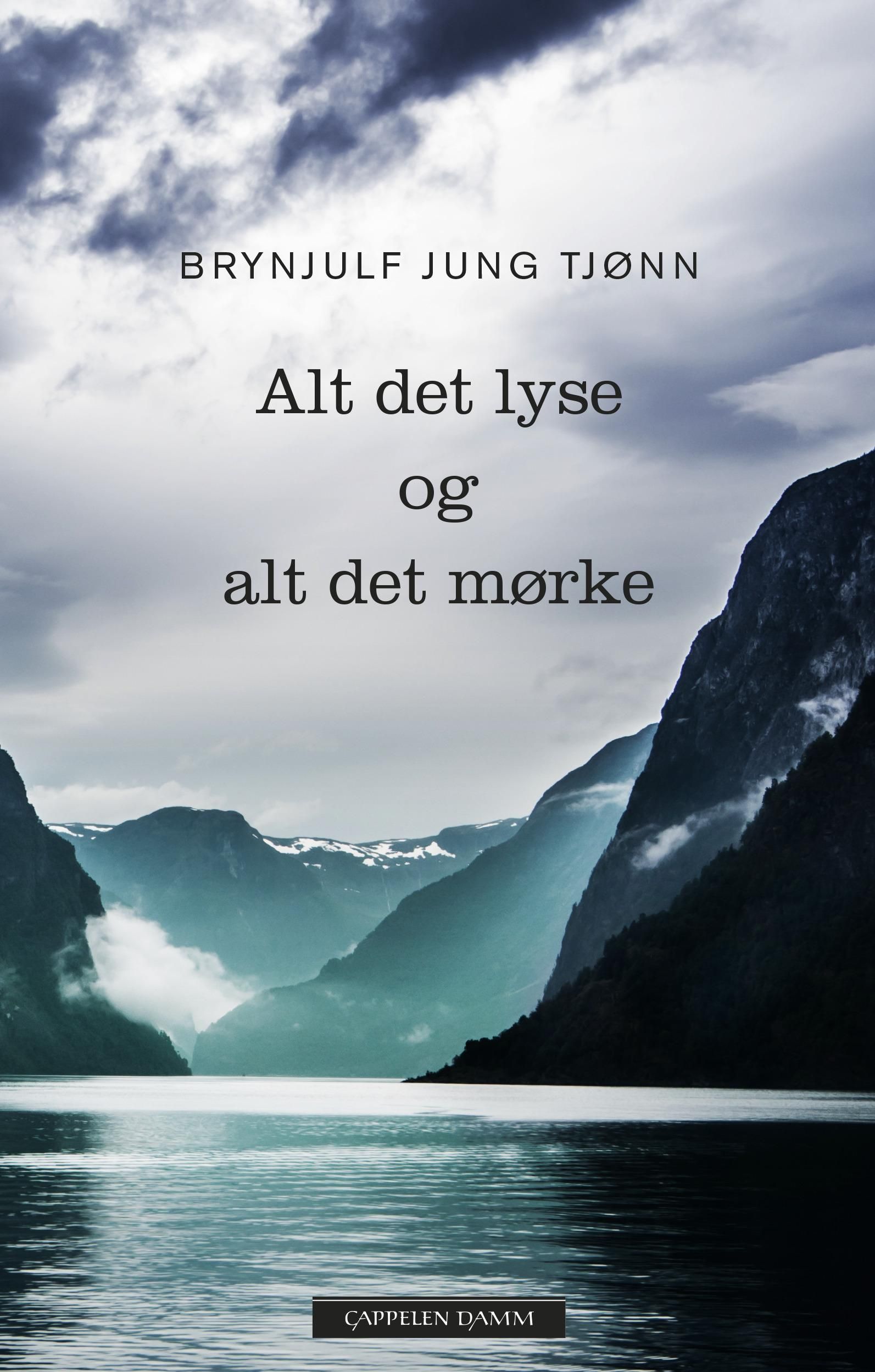 Alt det lyse og alt det mørke - roman
