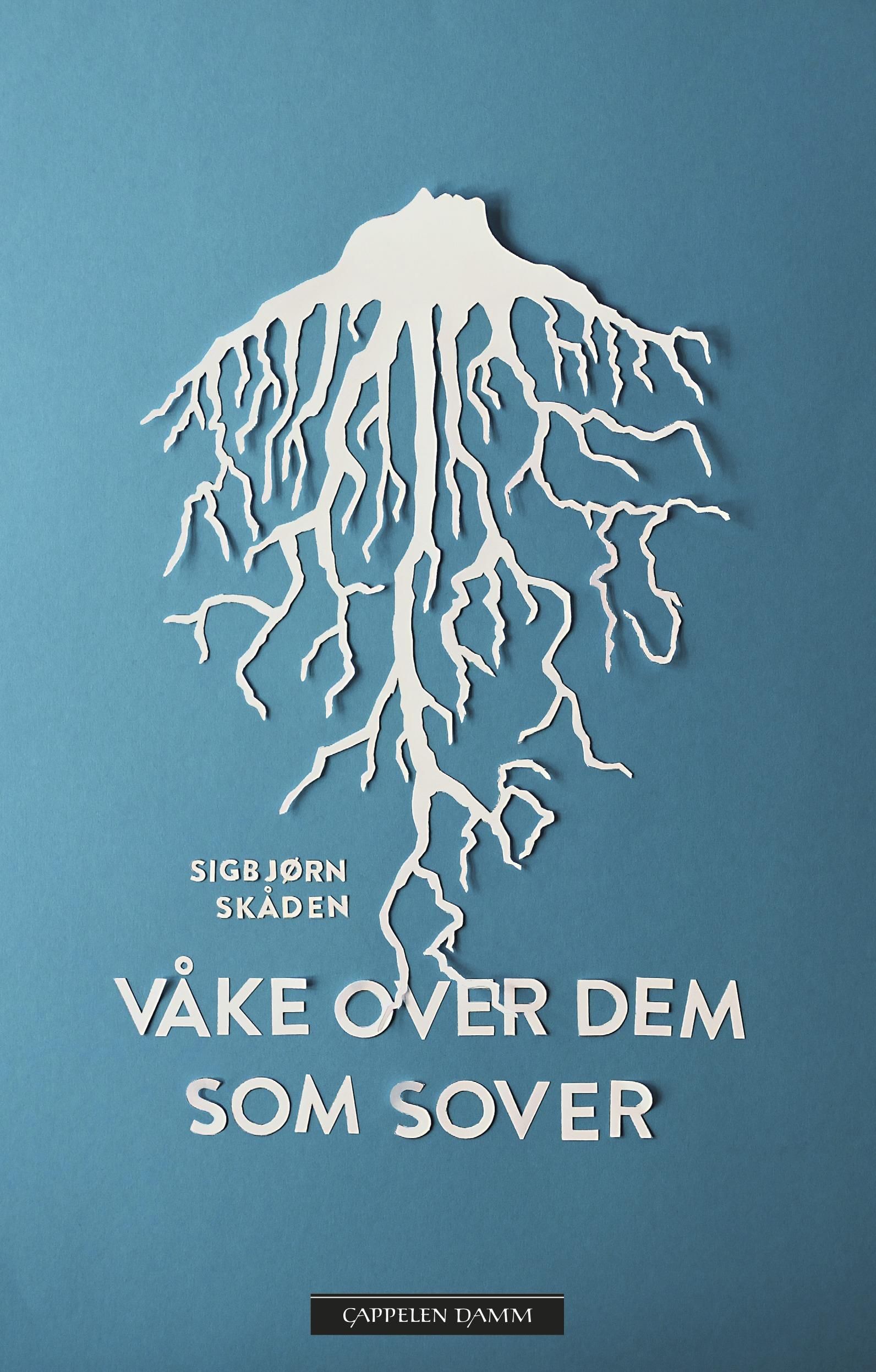 Våke over dem som sover - roman