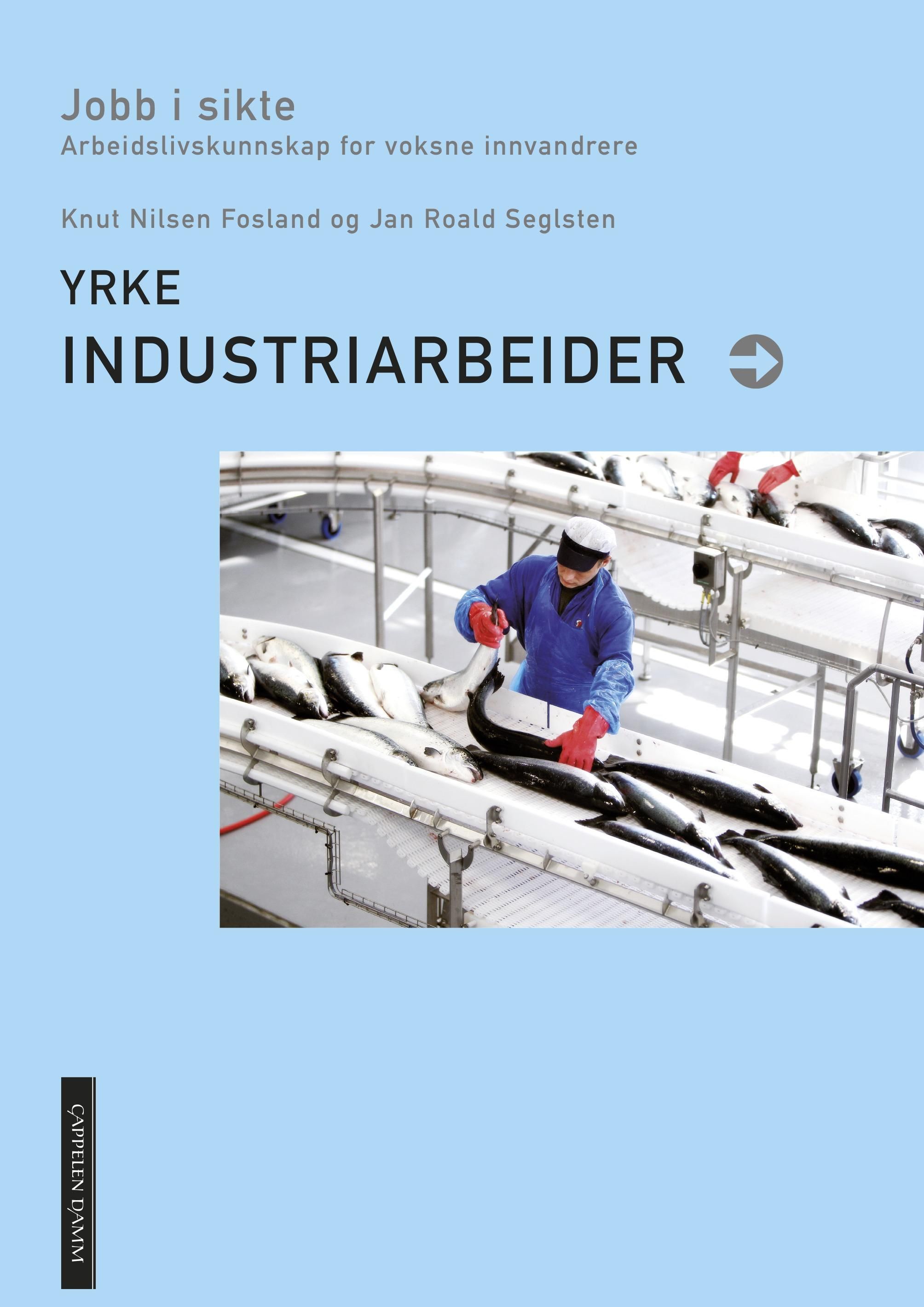 Yrke - industriarbeider : jobb i sikte : arbeidslivskunnskap for voksne innvandrere