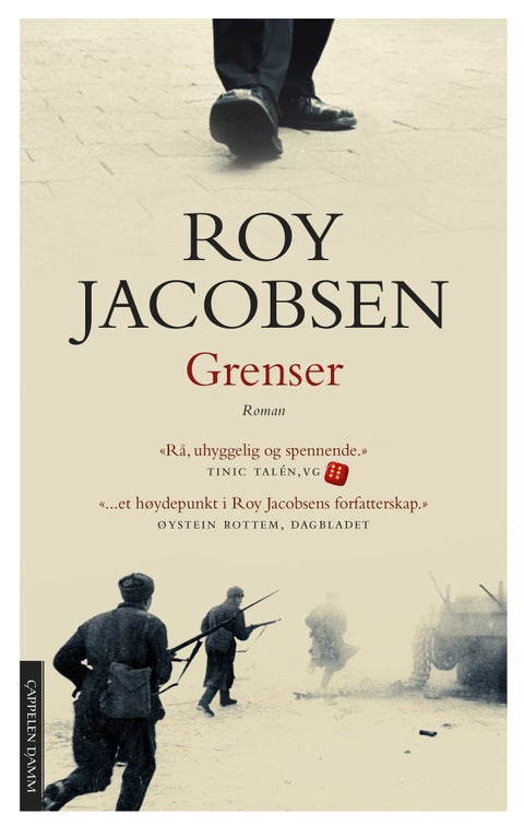 Grenser - roman