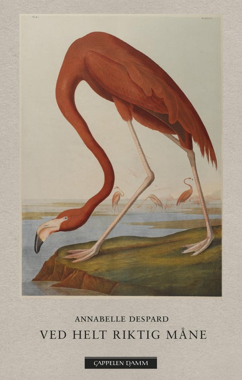 Ved helt riktig måne - dikt