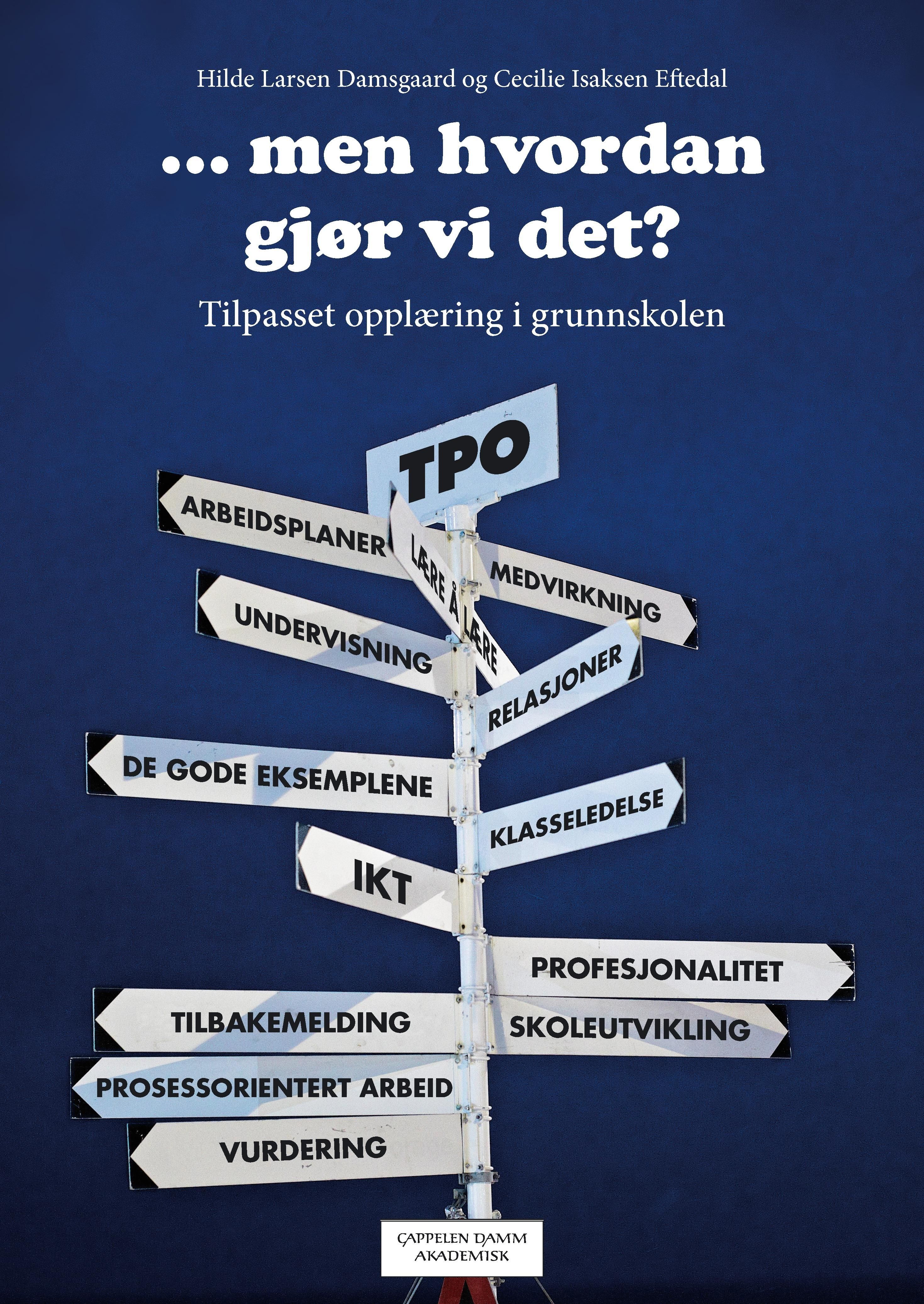 Men hvordan gjør vi det? - tilpasset opplæring i grunnskolen