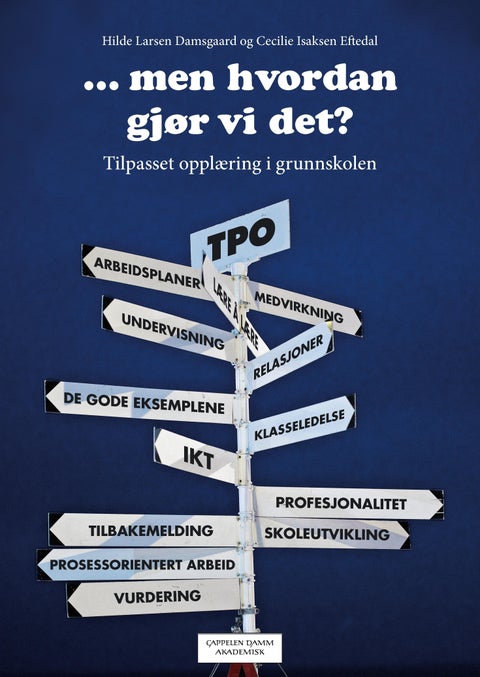 Men hvordan gjør vi det? - tilpasset opplæring i grunnskolen