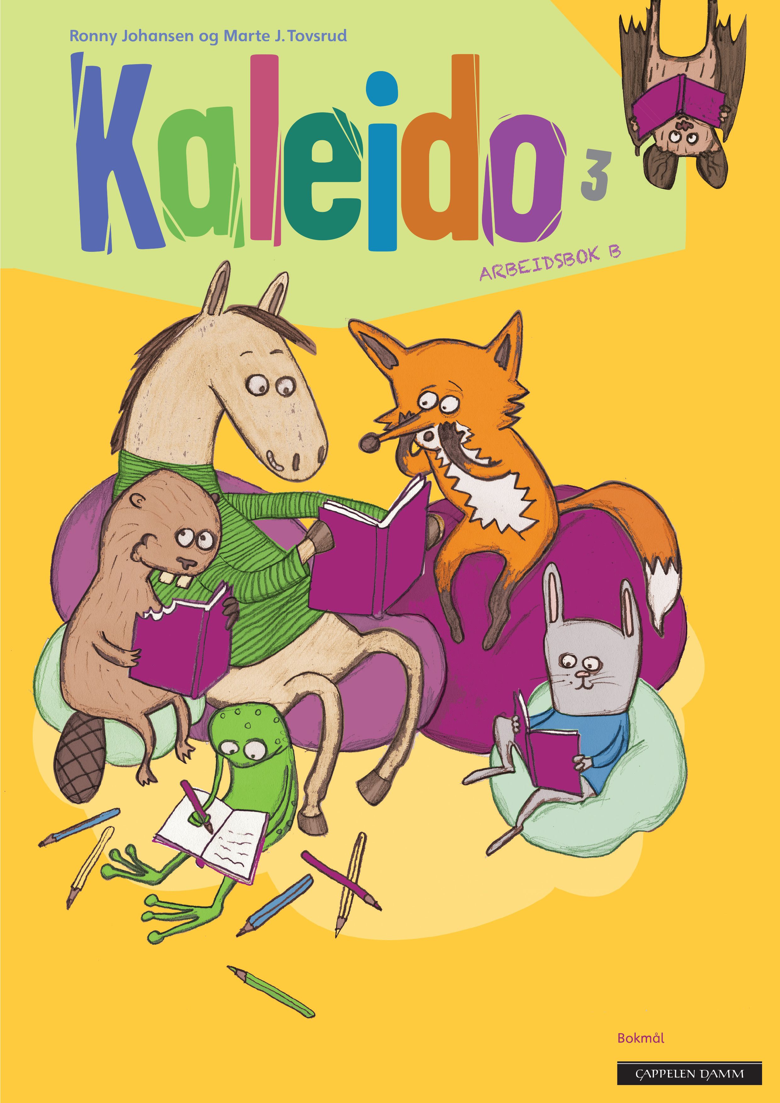 Kaleido 3 - Arbeidsbok B