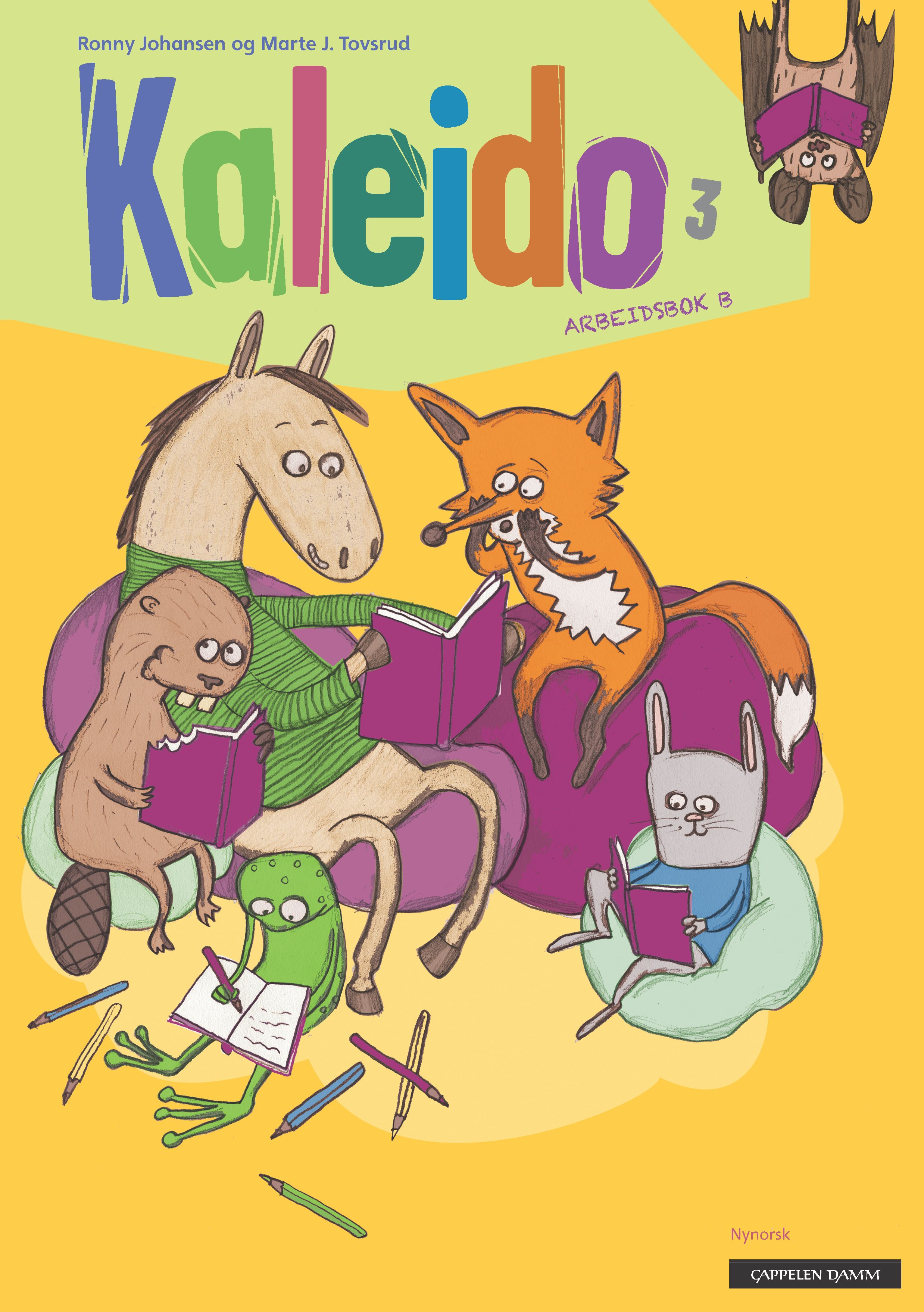Kaleido 3 - Arbeidsbok B