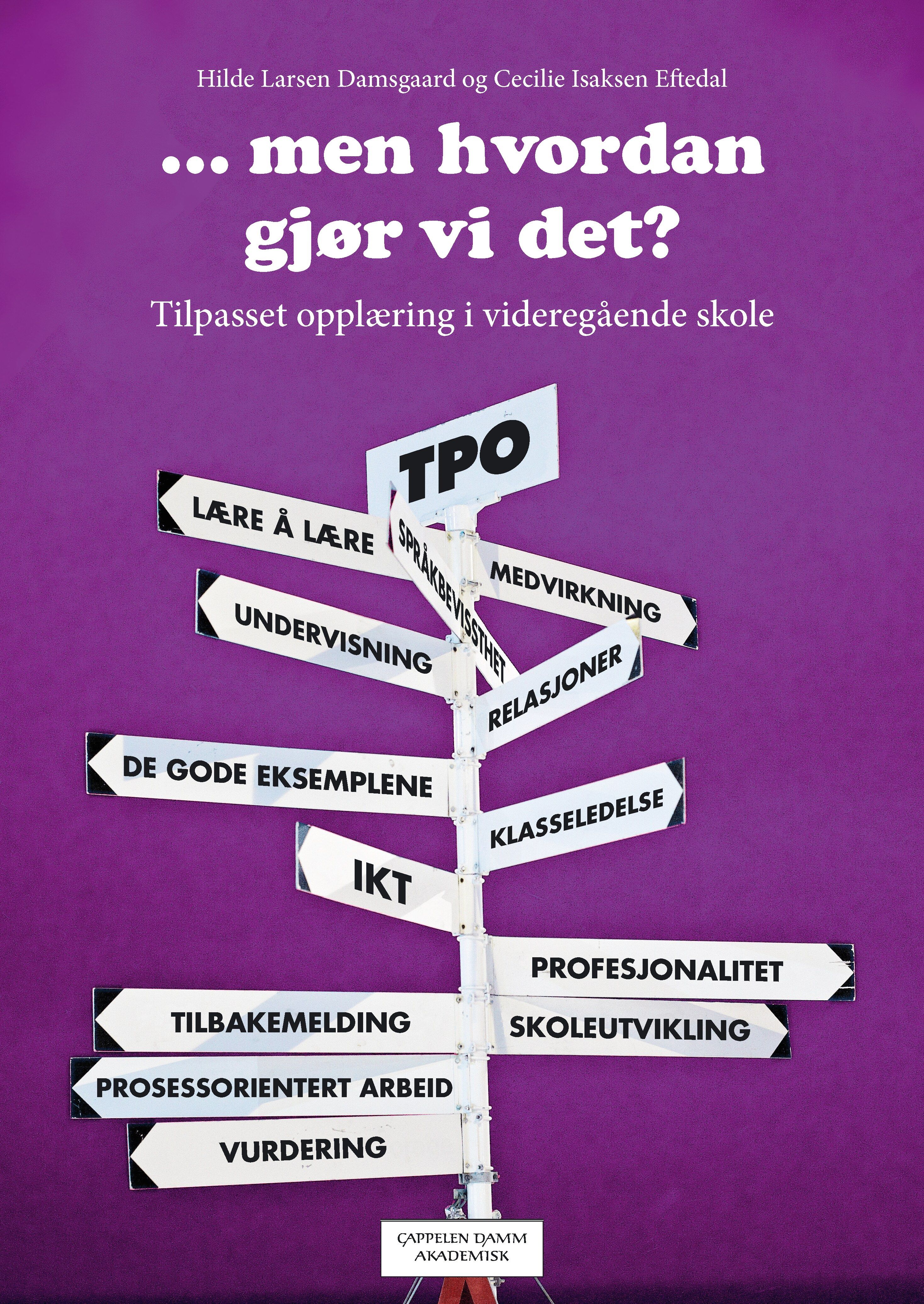Men hvordan gjør vi det? - tilpasset opplæring i videregående skole
