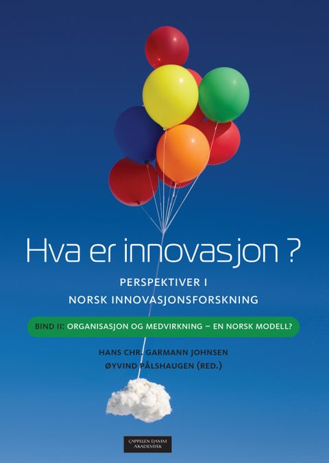 Hva er innovasjon? - perspektiver i norsk innovasjonsforskning : bind 2: organisasjon og medvirkning - en norsk modell?