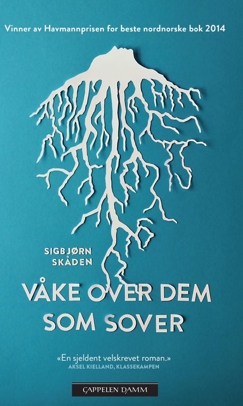 Våke over dem som sover - roman