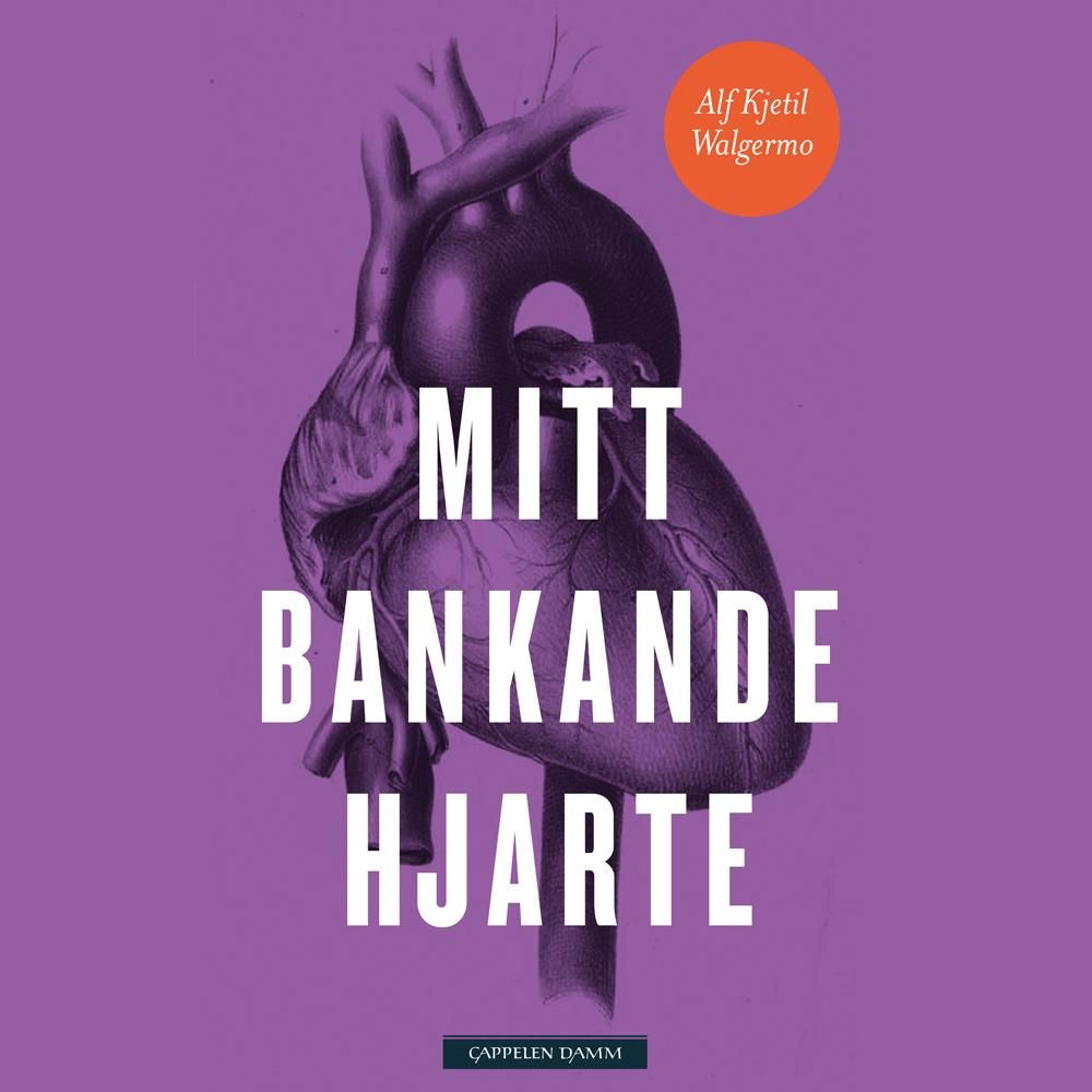 Mitt bankande hjarte - roman