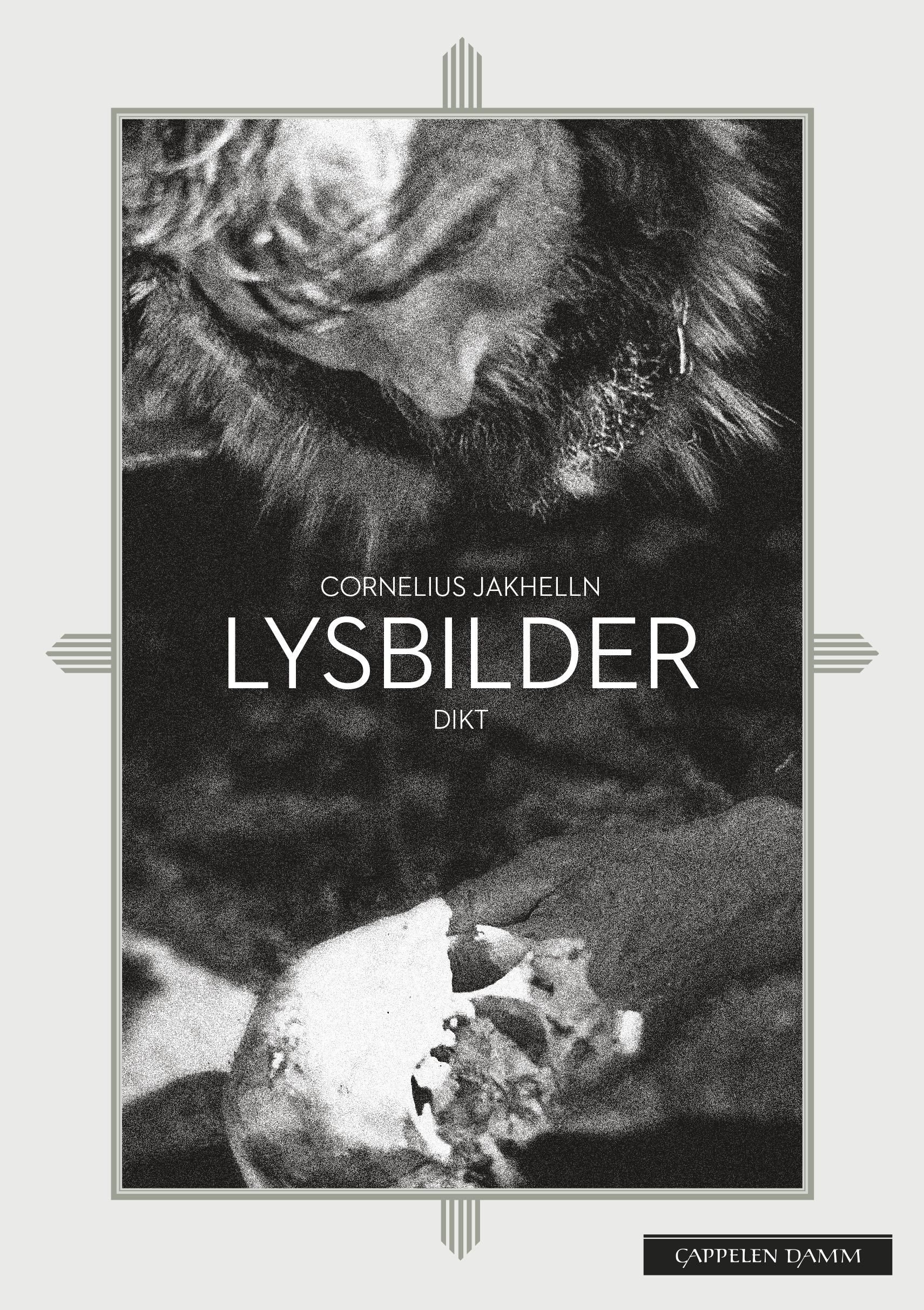 Lysbilder - dikt