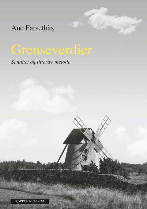 Grenseverdier - sannhet og litterær metode : ti intervjuer og et essay