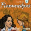 Ildfullt møte