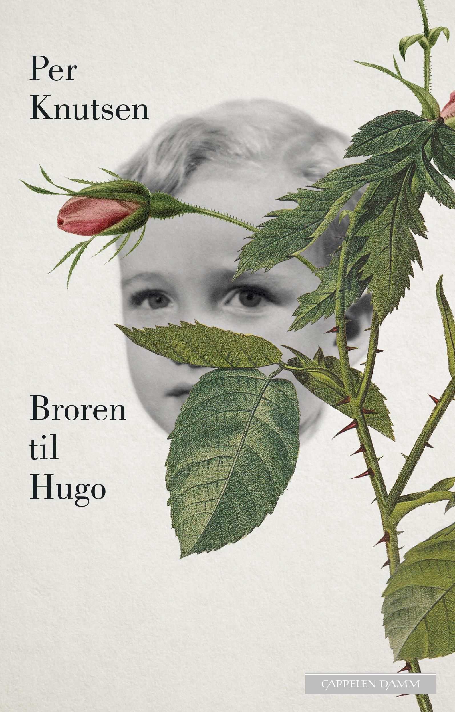 Broren til Hugo - roman