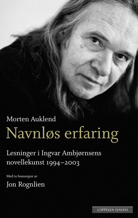 Navnløs erfaring - lesninger i Ingvar Ambjørnsens novellekunst 1994-2003 : med to bonusspor om forfatterskapet av Jon Rognlien