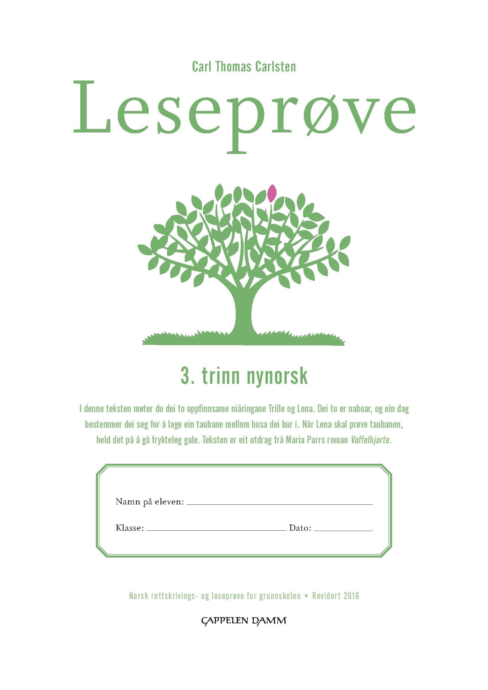 Leseprøve - 3. trinn nynorsk : norsk rettskrivings- og leseprøve for grunnskolen