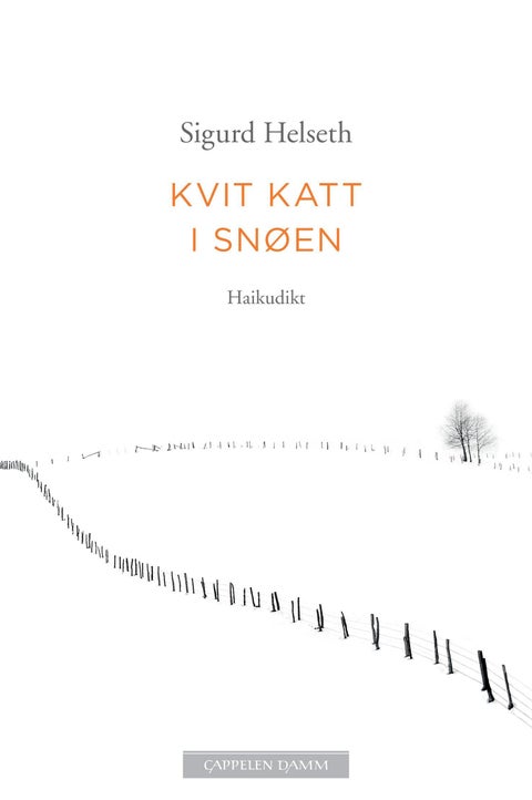 Kvit katt i snøen - haikudikt