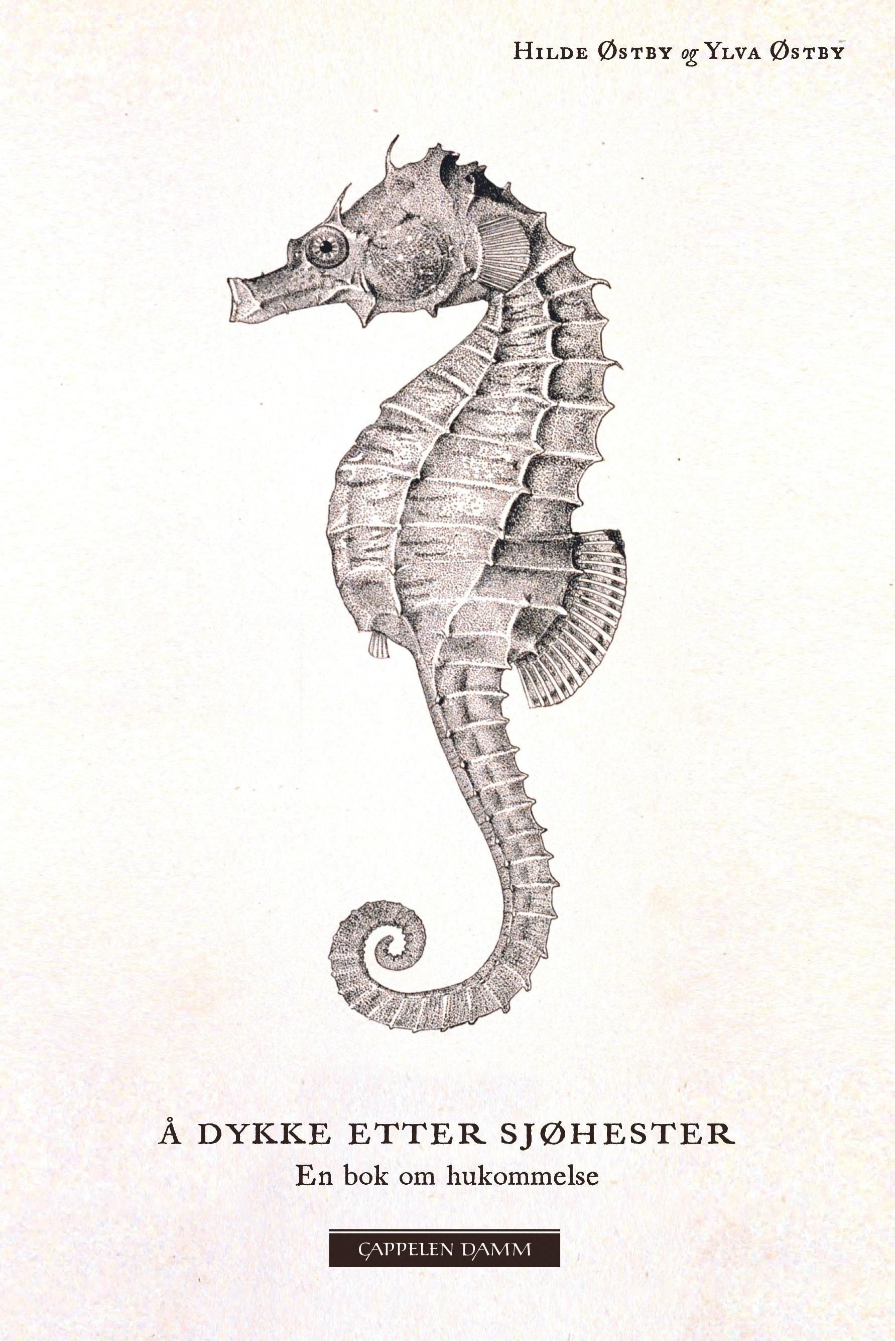 Å dykke etter sjøhester - en bok om hukommelse