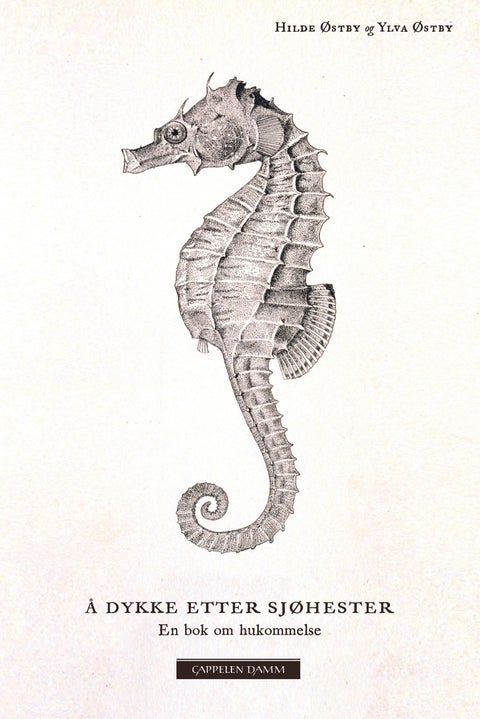 Å dykke etter sjøhester - en bok om hukommelse